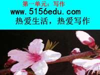 写作《热爱生活,热爱写作》pptx课件(42页)