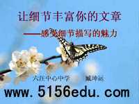 让细节丰富你的文章——感受细节描写的魅力ppt课件和教案及实录